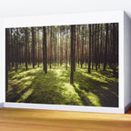 FOREST - Landscape and Nature Photography Wall Mural Gallery Image 2