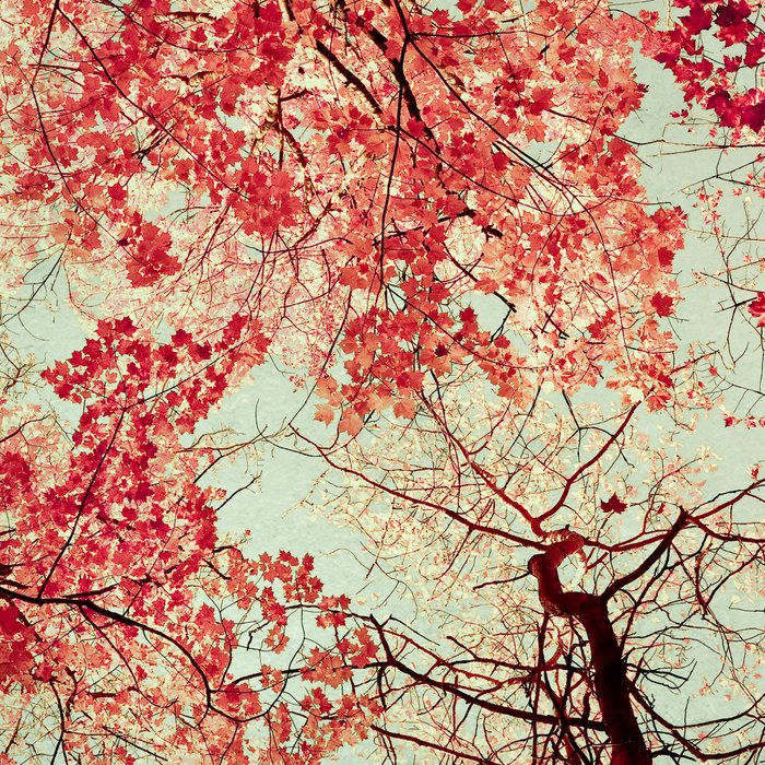 Autumn Inkblot Coffee Mug Gallery Image 2