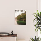 Blue Springs Poster Gallery Image 2