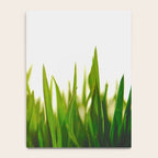 Close Up Of Green Blades Of Grass Notebook Gallery Image 4