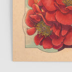 Camellias Poster Gallery Image 3