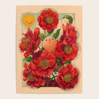 Camellias Poster Gallery Image 4