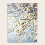 White Flowers Against the Sky Notebook Gallery Image 4