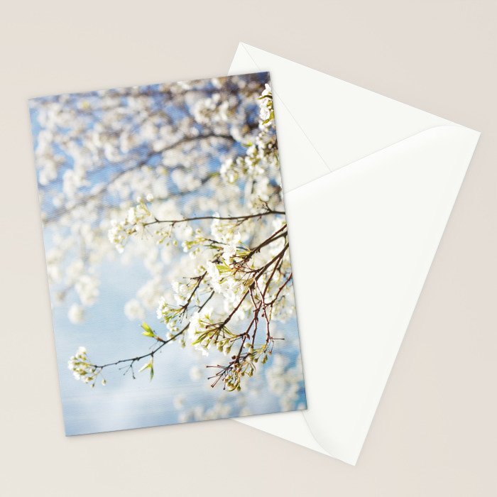 White Flowers Against the Sky Stationery Card Gallery Image 2