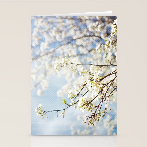 White Flowers Against the Sky Stationery Card Gallery Image 2