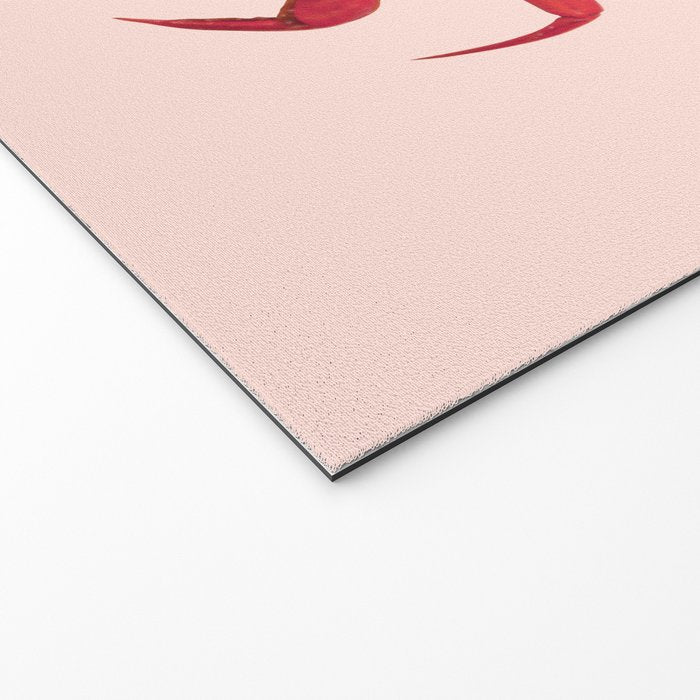 ROSE CRAB Welcome Mat Gallery Image 2