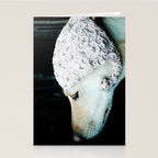 We're Not in Kansas Anymore Stationery Card Gallery Image 2