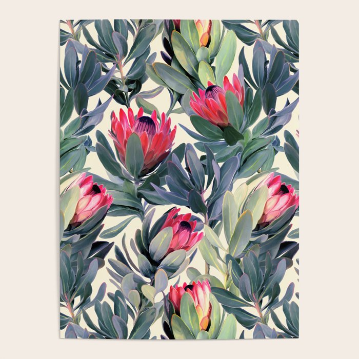 Painted Protea Pattern Poster Gallery Image 4
