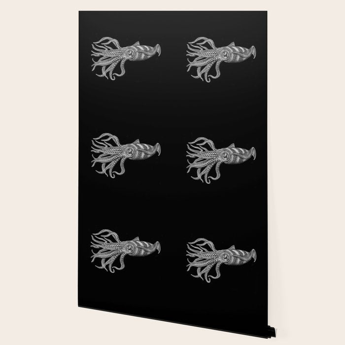 Squid Wallpaper Gallery Image 2