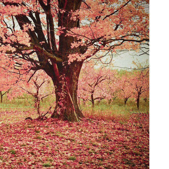 Wind and Leaves Coffee Mug Gallery Image 2