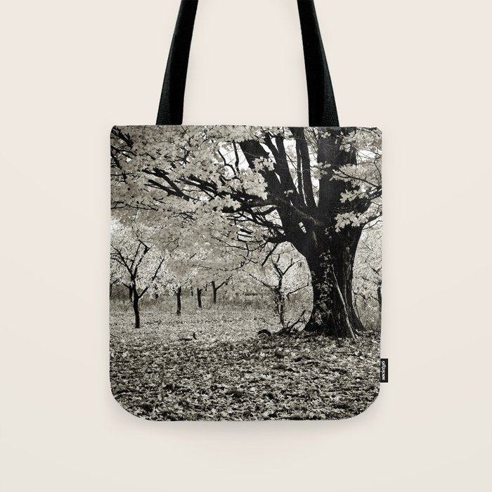 Wind and Leaves - B&W Tote Bag Gallery Image 1
