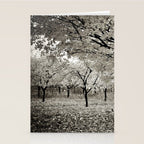 Wind and Leaves - B&W Stationery Card Gallery Image 2