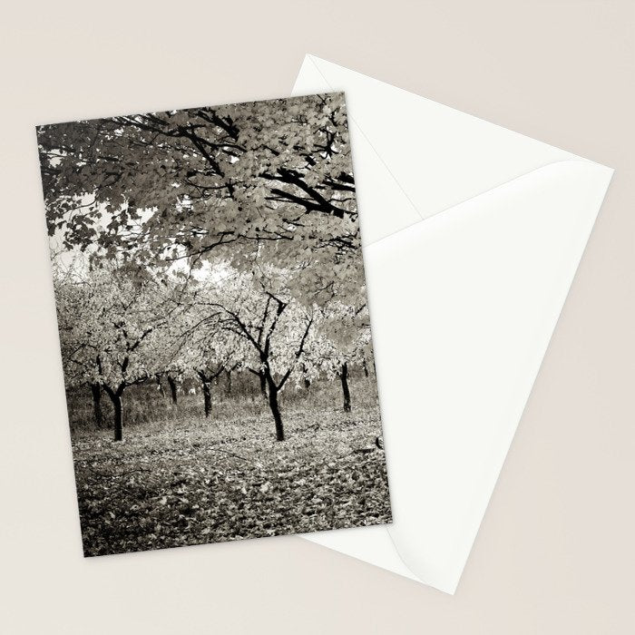 Wind and Leaves - B&W Stationery Card Gallery Image 2