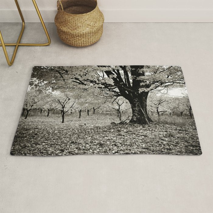 Wind and Leaves - B&W Rug Gallery Image 1