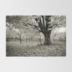 Wind and Leaves - B&W Rug Gallery Image 2