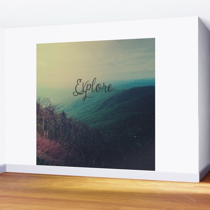 Explore Wall Mural Gallery Image 2