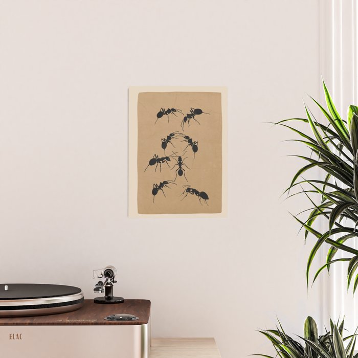 Ants in Formation 5 Poster Gallery Image 2