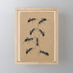 Ants in Formation 5 Mini Art Print Gallery Image 1