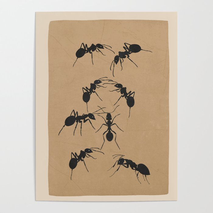 Ants in Formation 5 Poster Gallery Image 4