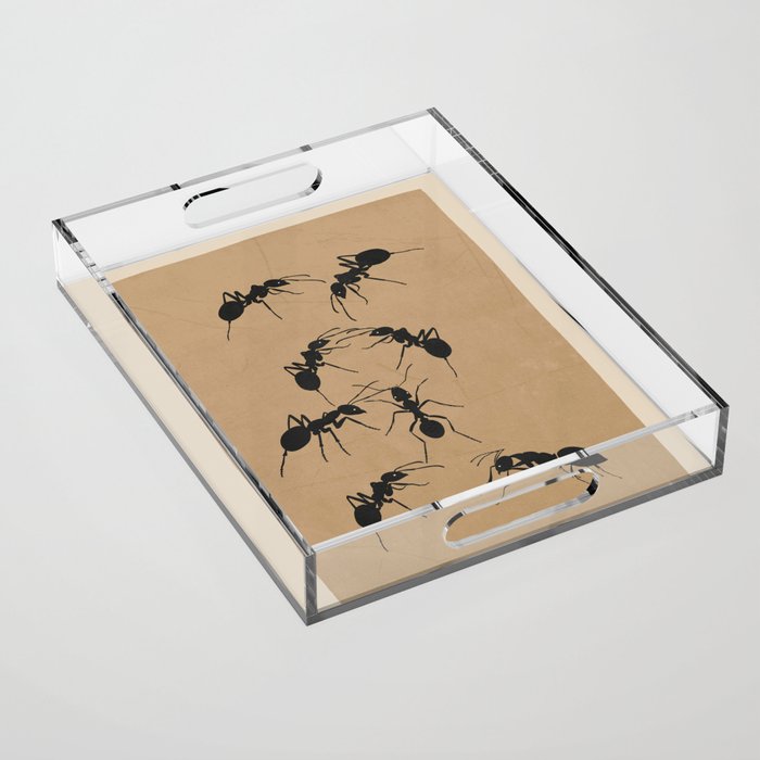 Ants in Formation 5 Acrylic Tray Gallery Image 1