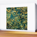 Dill #5 Wall Mural Gallery Image 2
