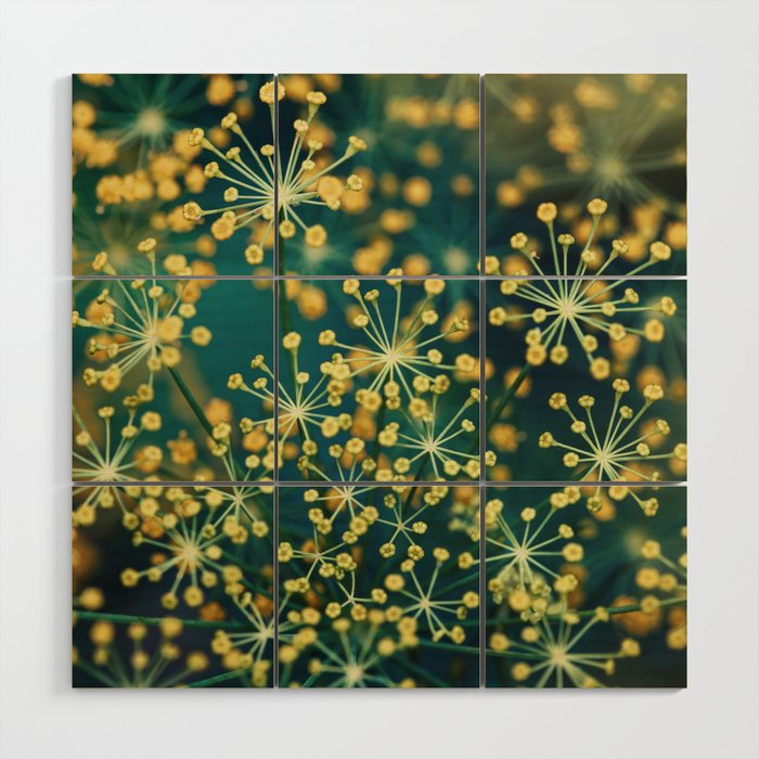 Dill #5 Wood Wall Art Gallery Image 1