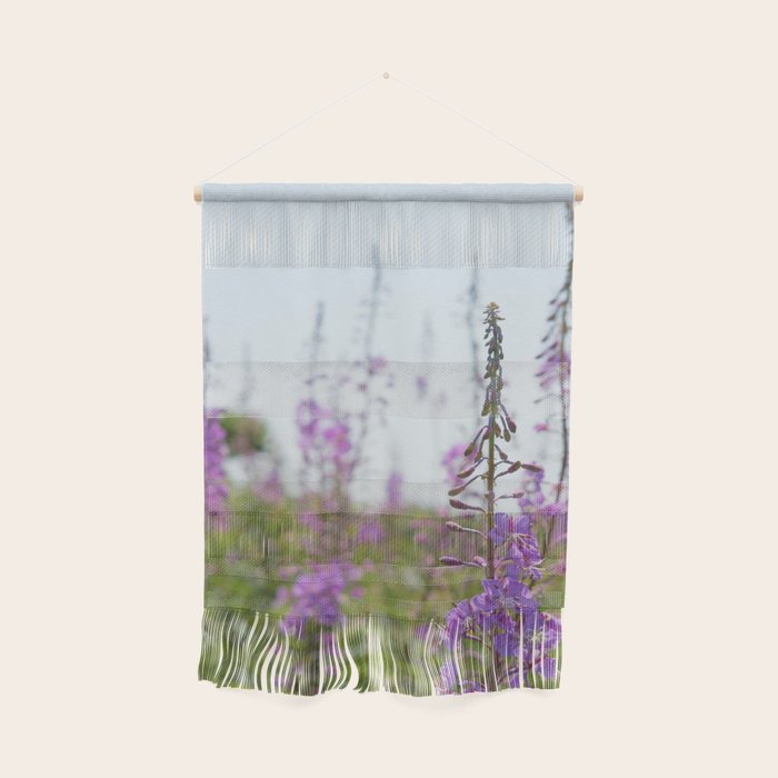 summer wildflowers no. 2 - botanical photograph maine flowers Wall Hanging Gallery Image 1