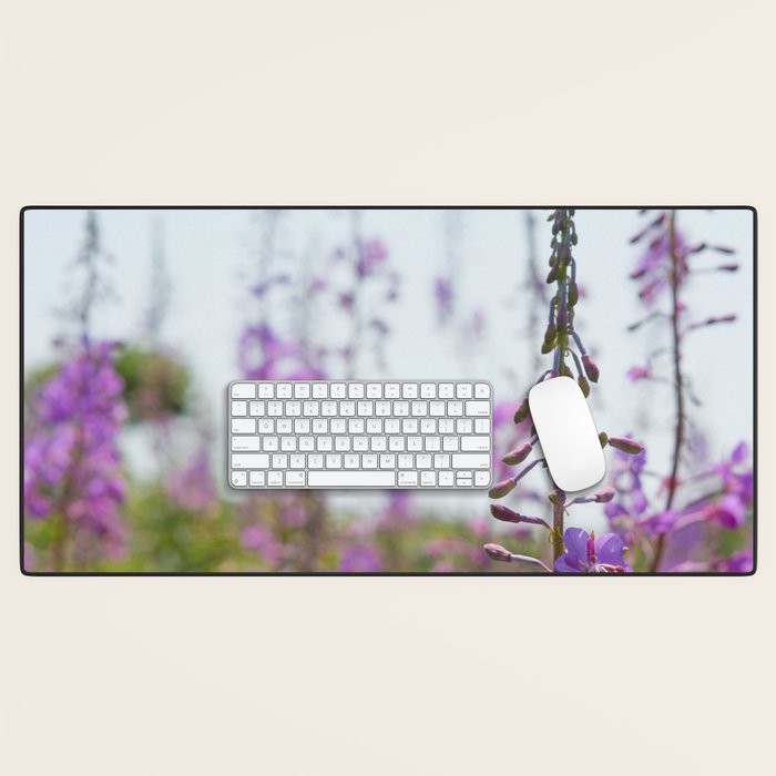 summer wildflowers no. 2 - botanical photograph maine flowers Desk Mat Gallery Image 1