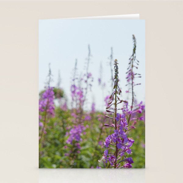 summer wildflowers no. 2 - botanical photograph maine flowers Stationery Card Gallery Image 1