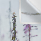 summer wildflowers no. 2 - botanical photograph maine flowers Wall Tapestry Gallery Image 3