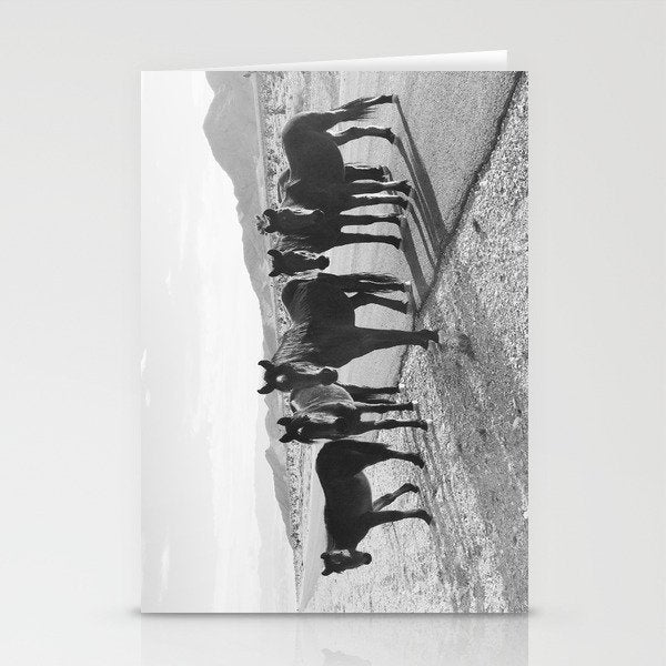 Cold Creek Horse Crew Stationery Card Gallery Image 1