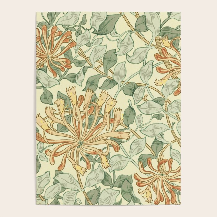William Morris "Honeysuckle" 3. Poster Gallery Image 1