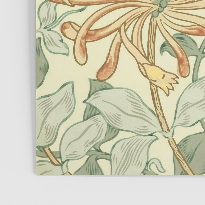 William Morris "Honeysuckle" 3. Poster Gallery Image 3