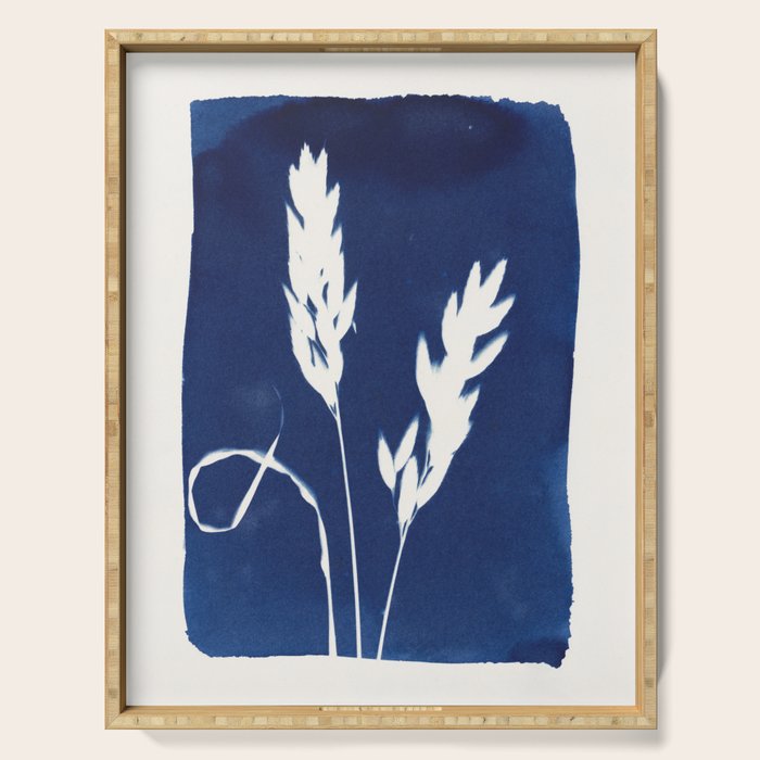 Cyan Herbarium #2 Serving Tray Gallery Image 1