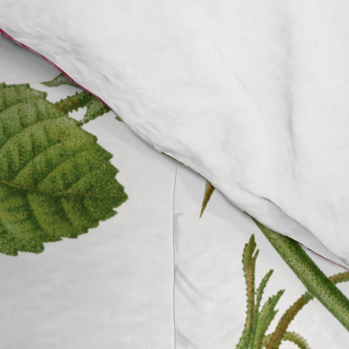 Bonnie Botanical Bloom  Comforter Gallery Image 4