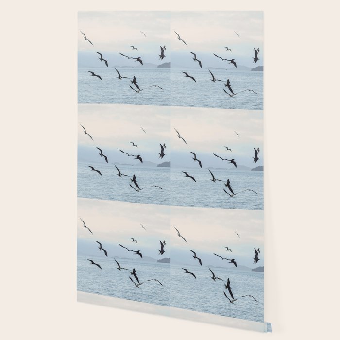 Flock of Birds at Sunset Wallpaper Gallery Image 2
