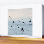 Flock of Birds at Sunset Wall Mural Gallery Image 2