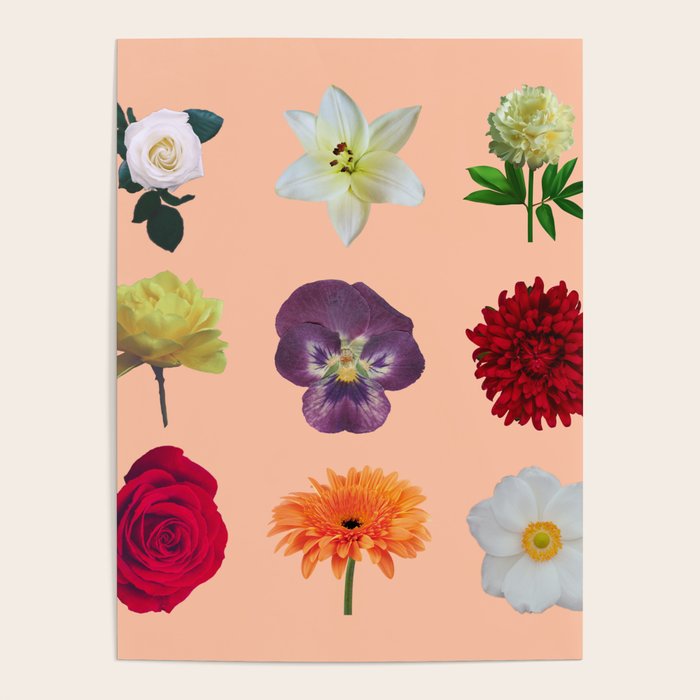 sunshine orange flower collage Poster Gallery Image 4