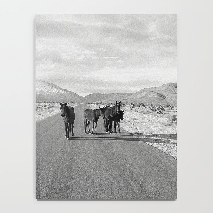 Spring Mountain Wild Horses Notebook Gallery Image 4