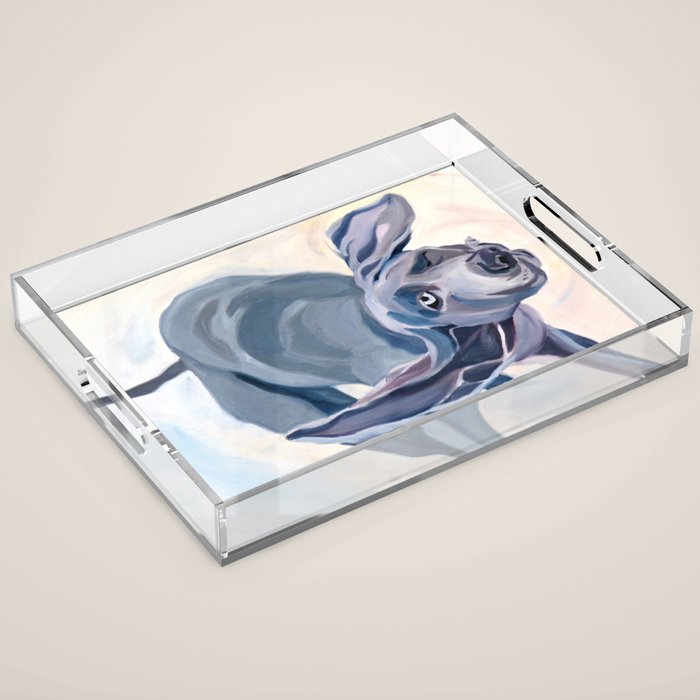 Great Dane Dog Shake Acrylic Tray Gallery Image 1