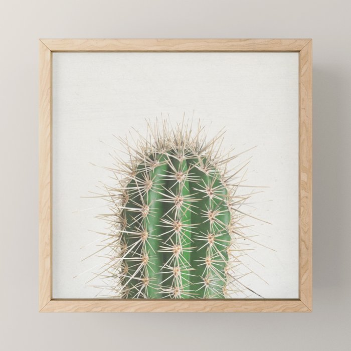 Cactus Mini Art Print Gallery Image 1