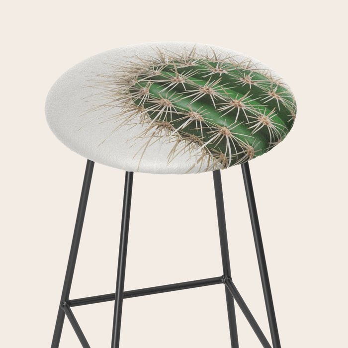 Cactus Stool Gallery Image 2