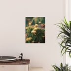 Little Mushrooms Poster Gallery Image 2