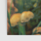 Little Mushrooms Poster Gallery Image 3