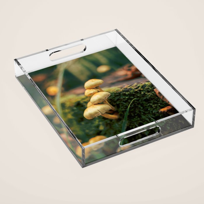Little Mushrooms Acrylic Tray Gallery Image 1