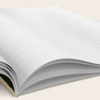 Abstract Figure  Notebook Gallery Image 2
