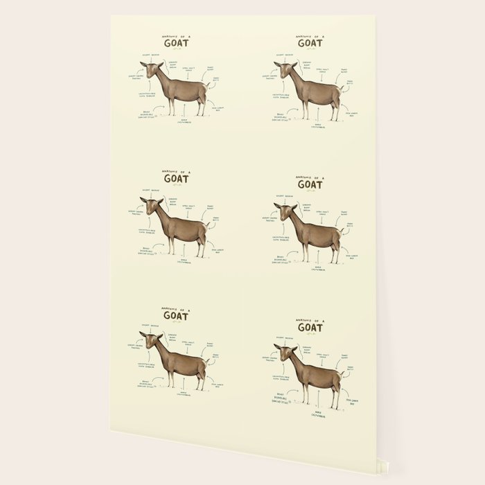 Anatomy of a Goat Wallpaper Gallery Image 2
