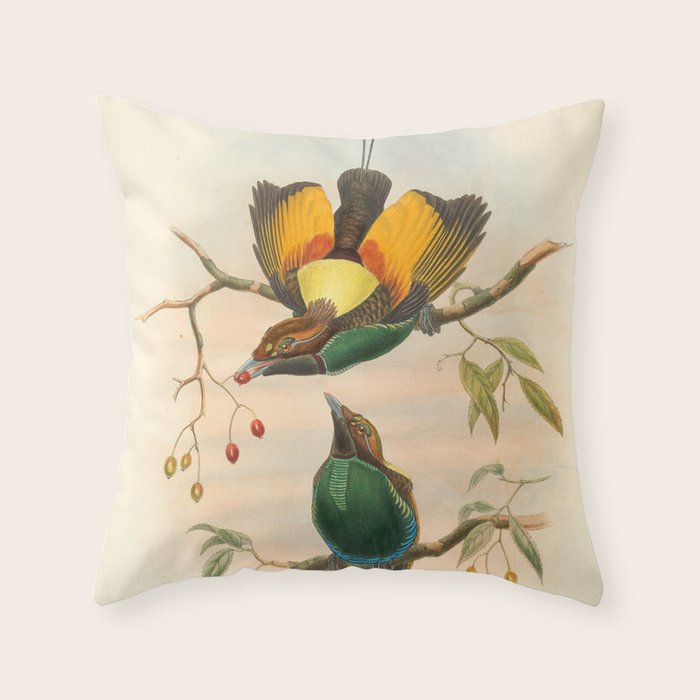 Birds-of-paradise (Dephyllodes Chrysoptera) by John Gould, 1875-1888 (benefitting the Nature Conservancy) Throw Pillow Gallery Image 1