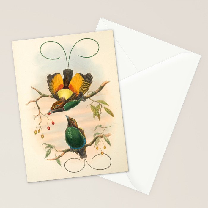 Birds-of-paradise (Dephyllodes Chrysoptera) by John Gould, 1875-1888 (benefitting the Nature Conservancy) Stationery Card Gallery Image 2