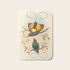 Birds-of-paradise (Dephyllodes Chrysoptera) by John Gould, 1875-1888 (benefitting the Nature Conservancy) Bath Mat Gallery Image 1